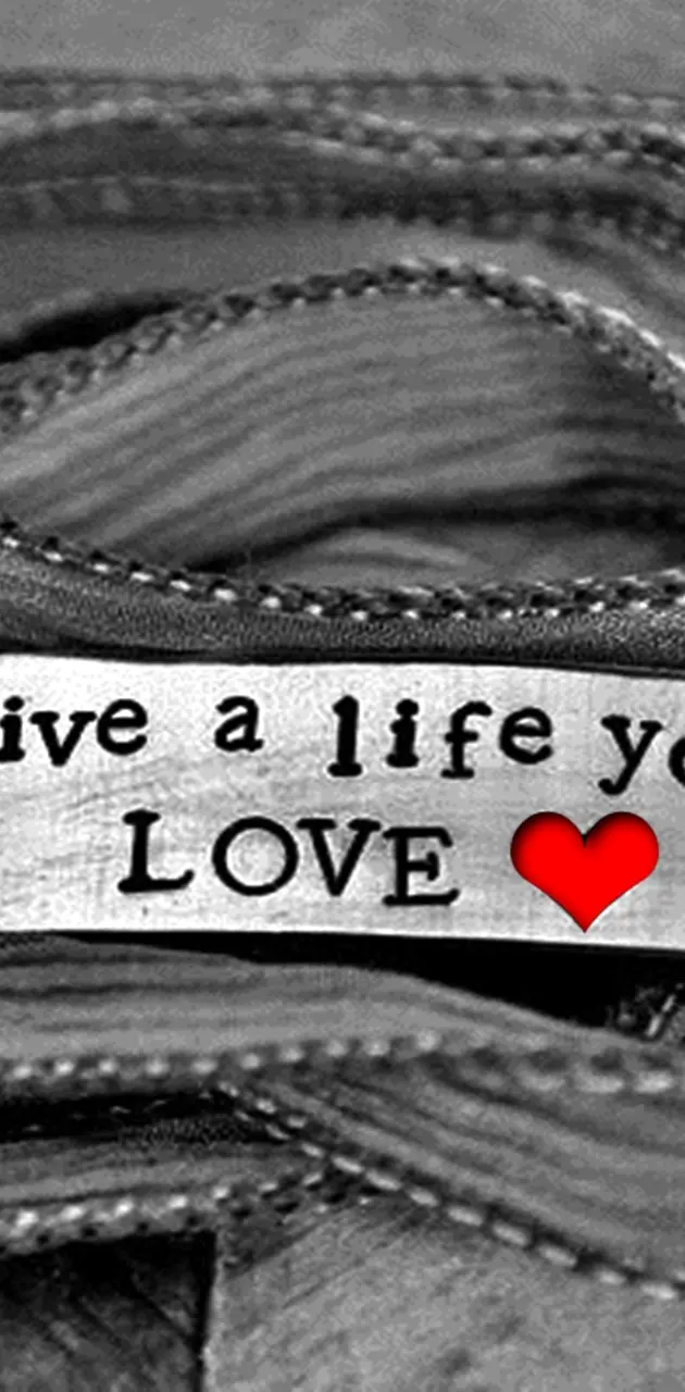 Live A Life You Love