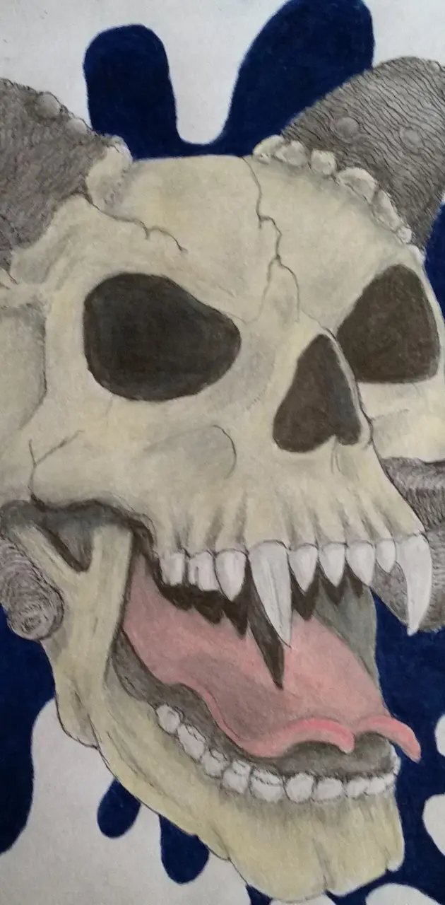  Skull my artwork 