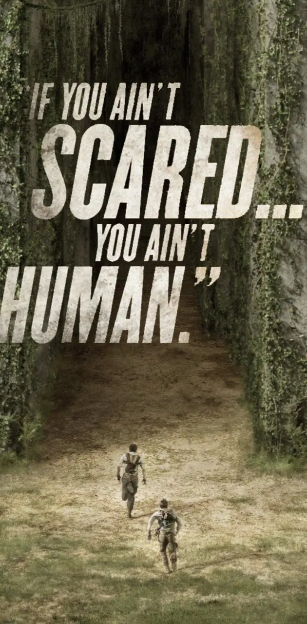 The Maze Runner for iPhone - Download