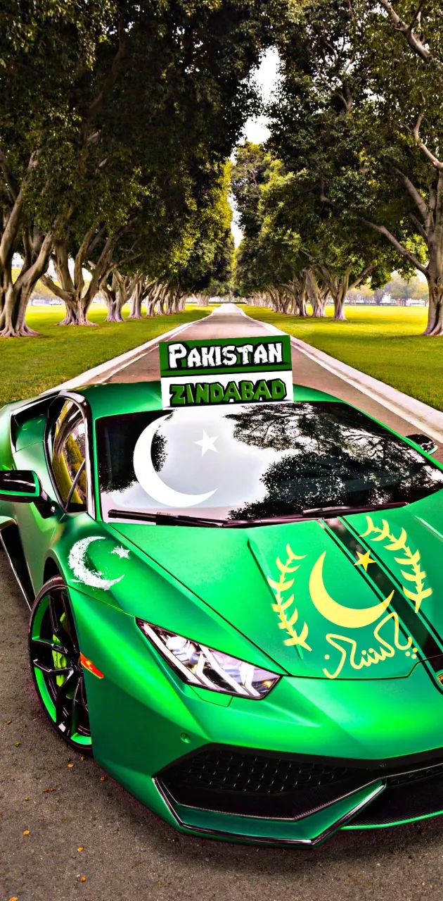 Pakistan flag car