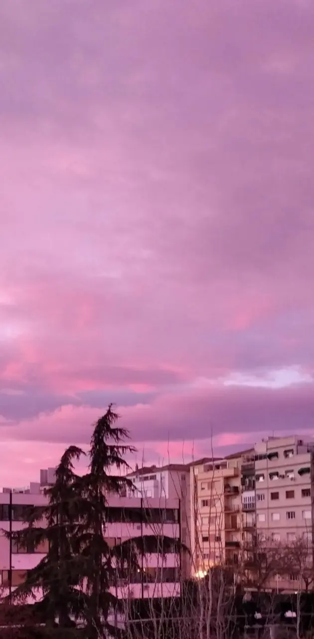 Pink sky