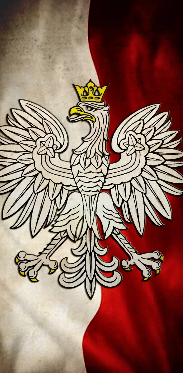 Polska Flaga i Godlo