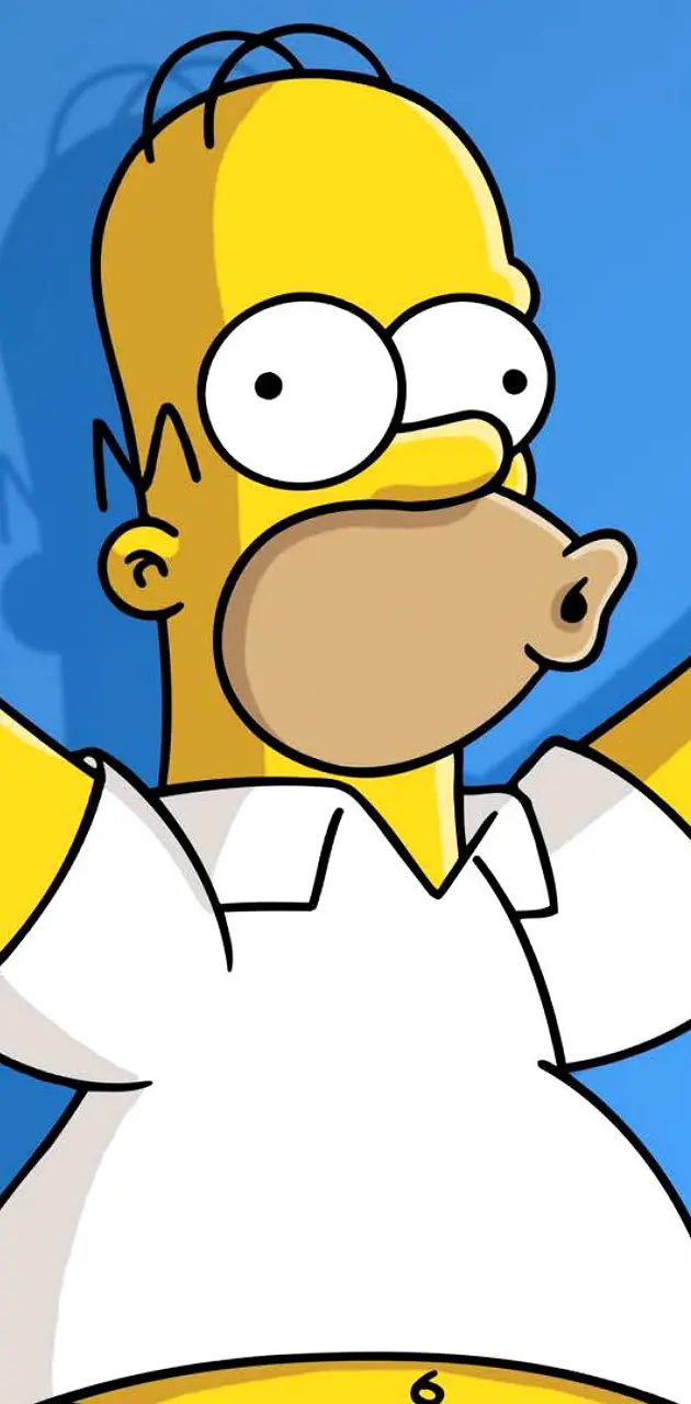 The Simpsons - Homer