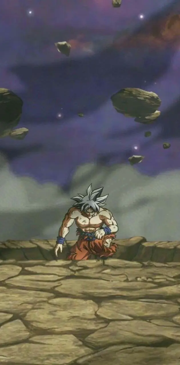 Goku Ultra Instint