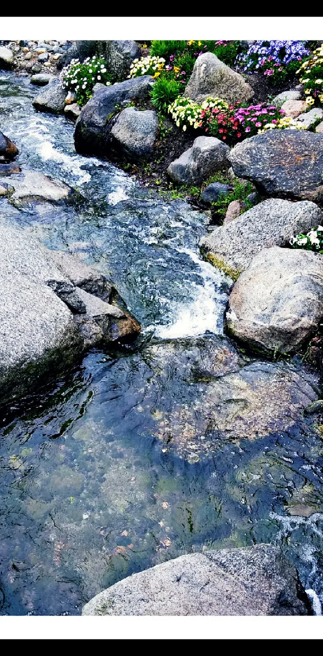 Little creek