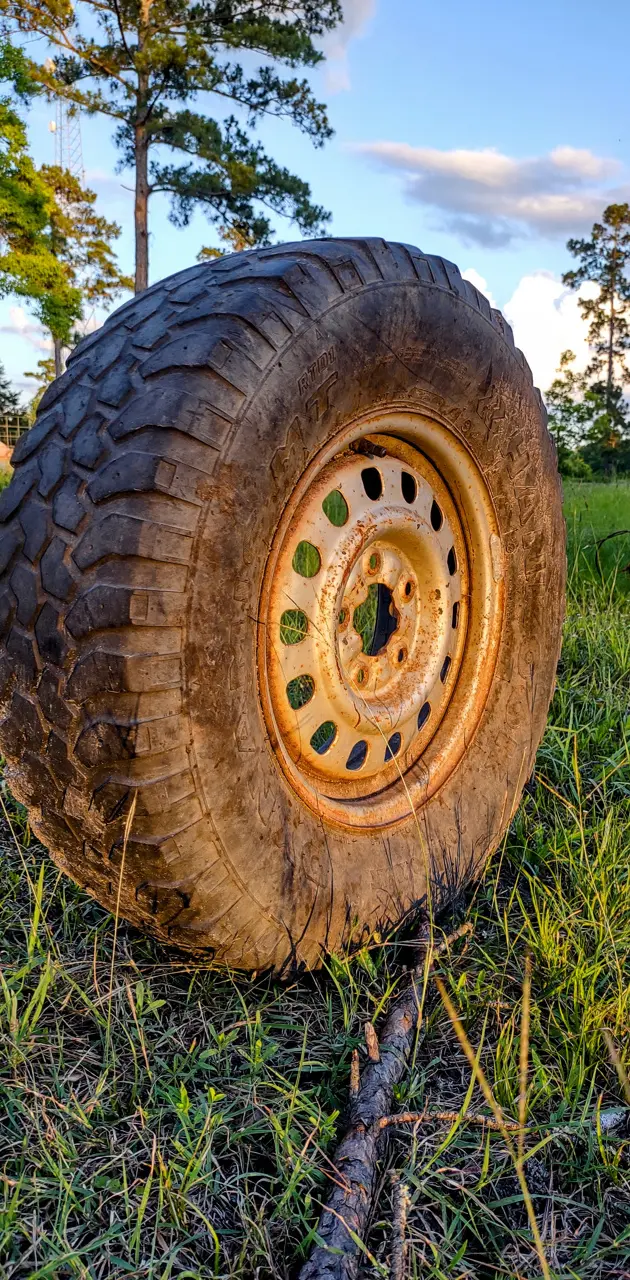 tire in field
