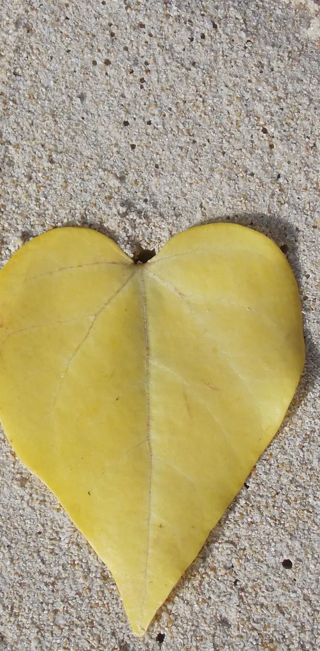 Leaf Shape of heart
