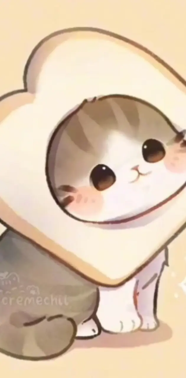 Cat Whit A Bread Meme 
