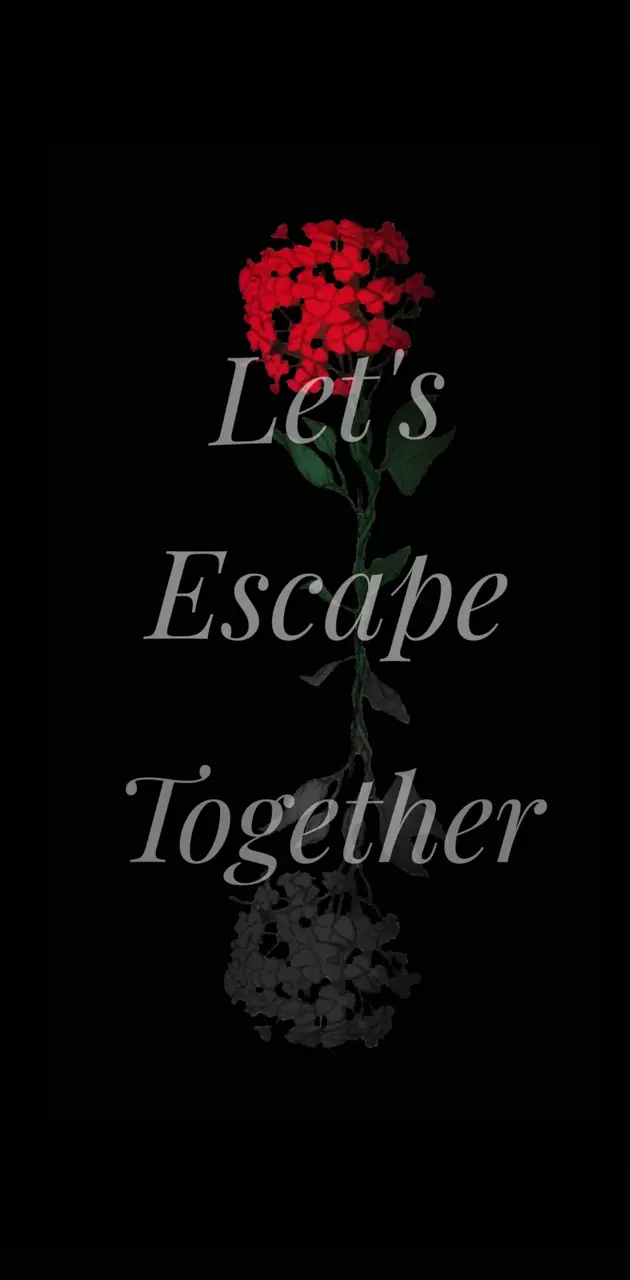 Lets Escape Together