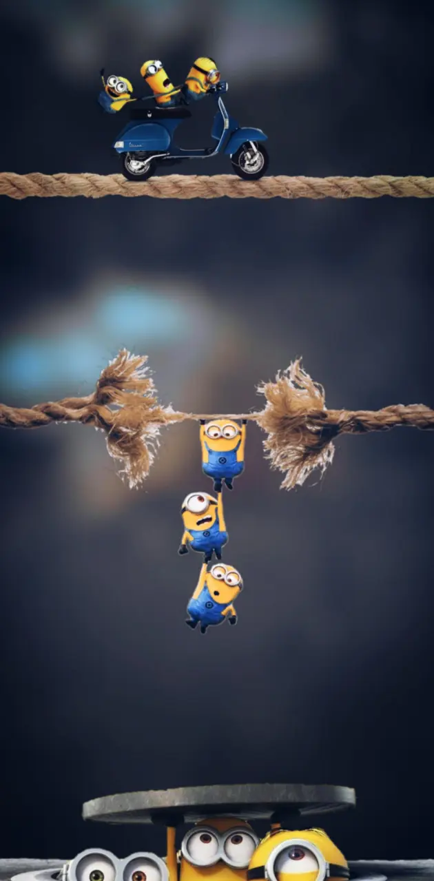 Minion's wallpaper by RClaudiu253 - Download on ZEDGE™ | c508