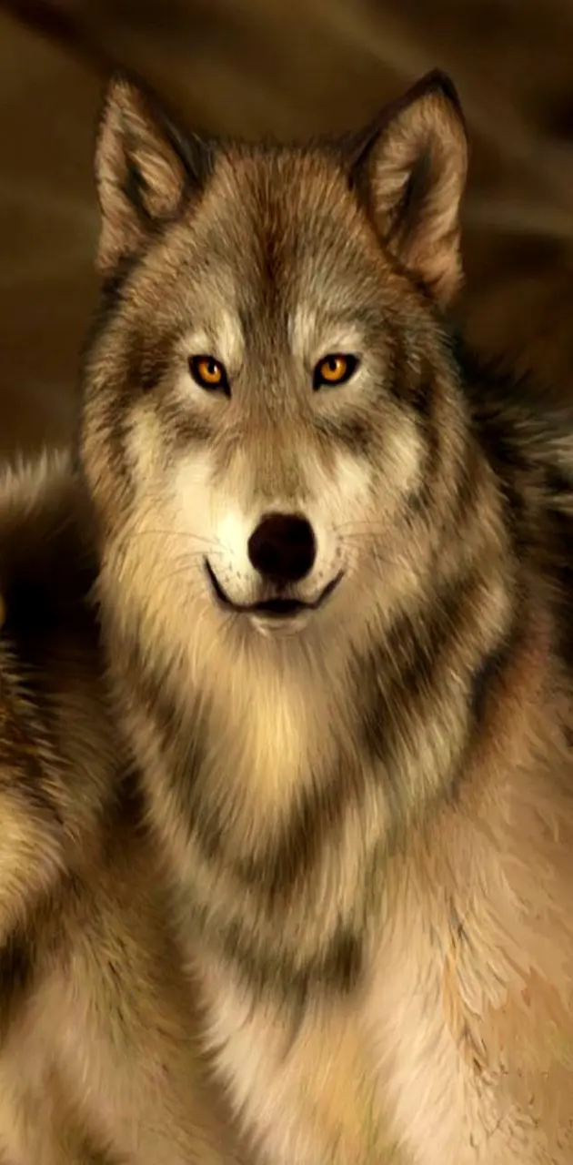 beautiful brown wolf with blue eyes