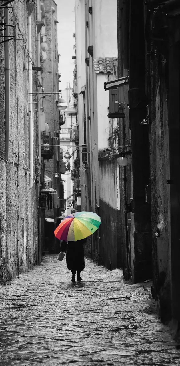 color umbrella