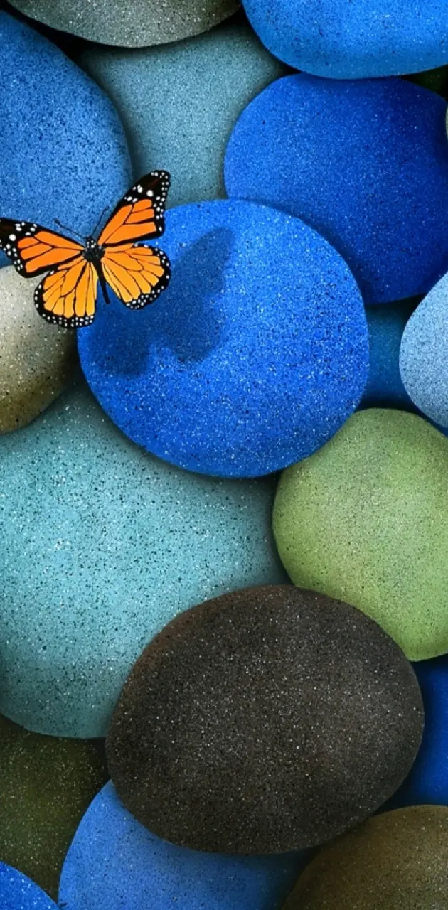 Butterfly And Stone
