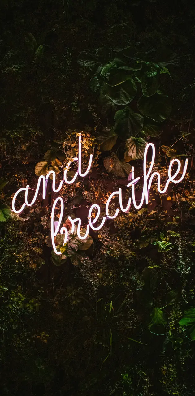 Breathe | 🌿