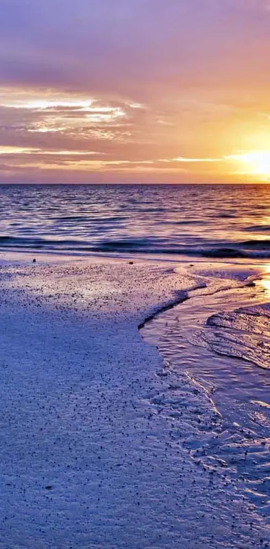 Sunset sea beach