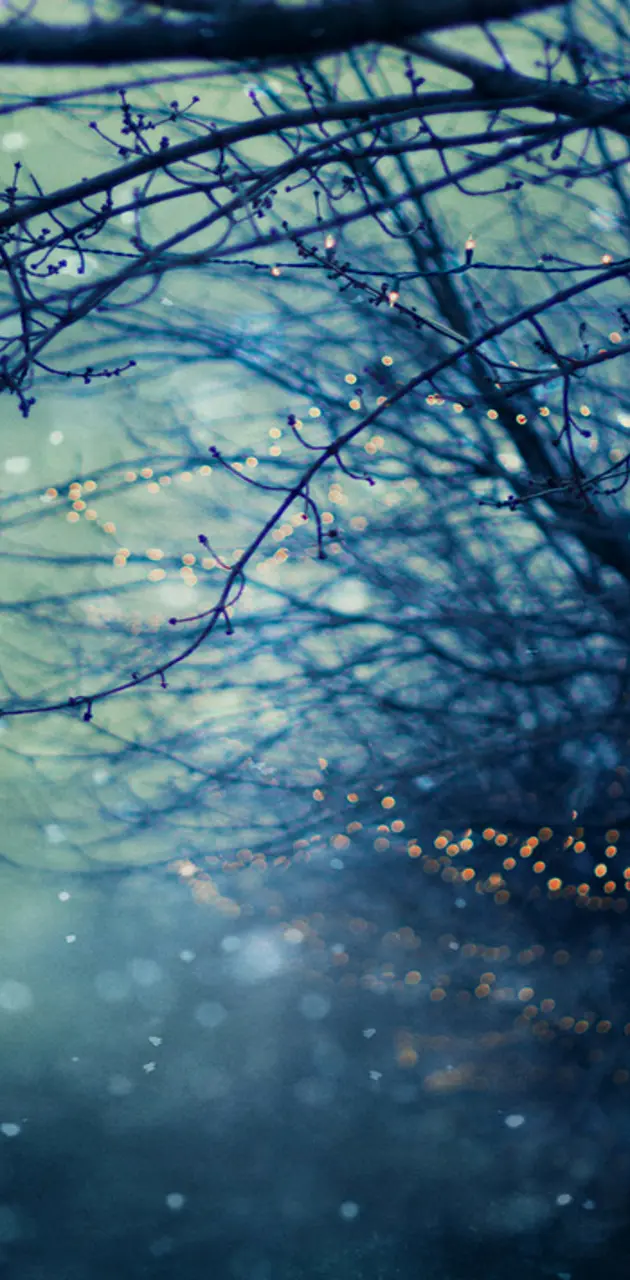 twinkle branches