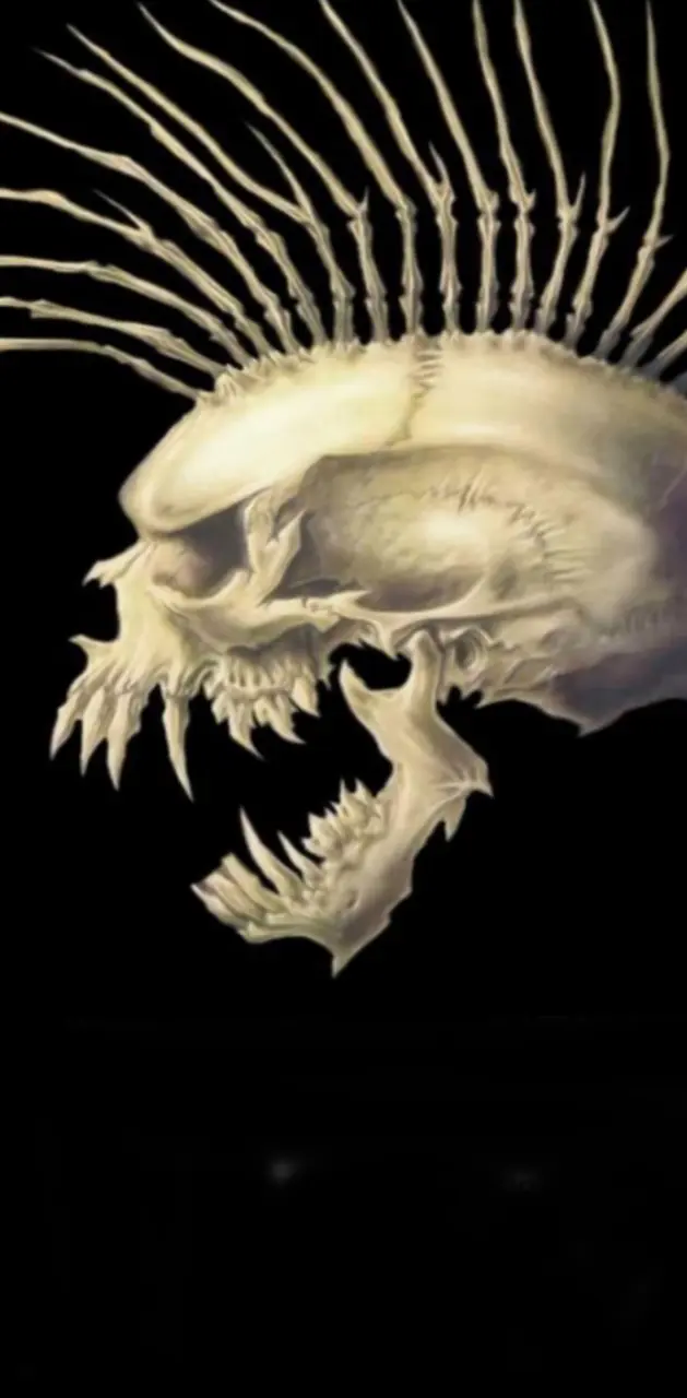 Skull hawk