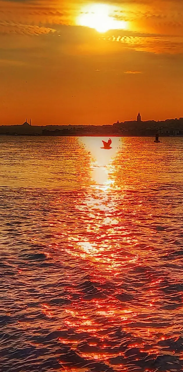 Sunset in Sea