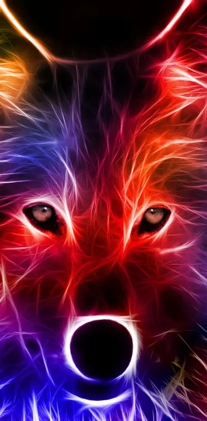 Colorful Wolf Hd