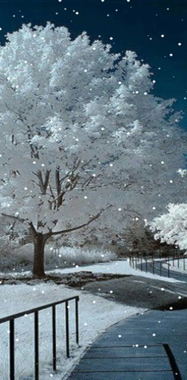 Sparkly white tree