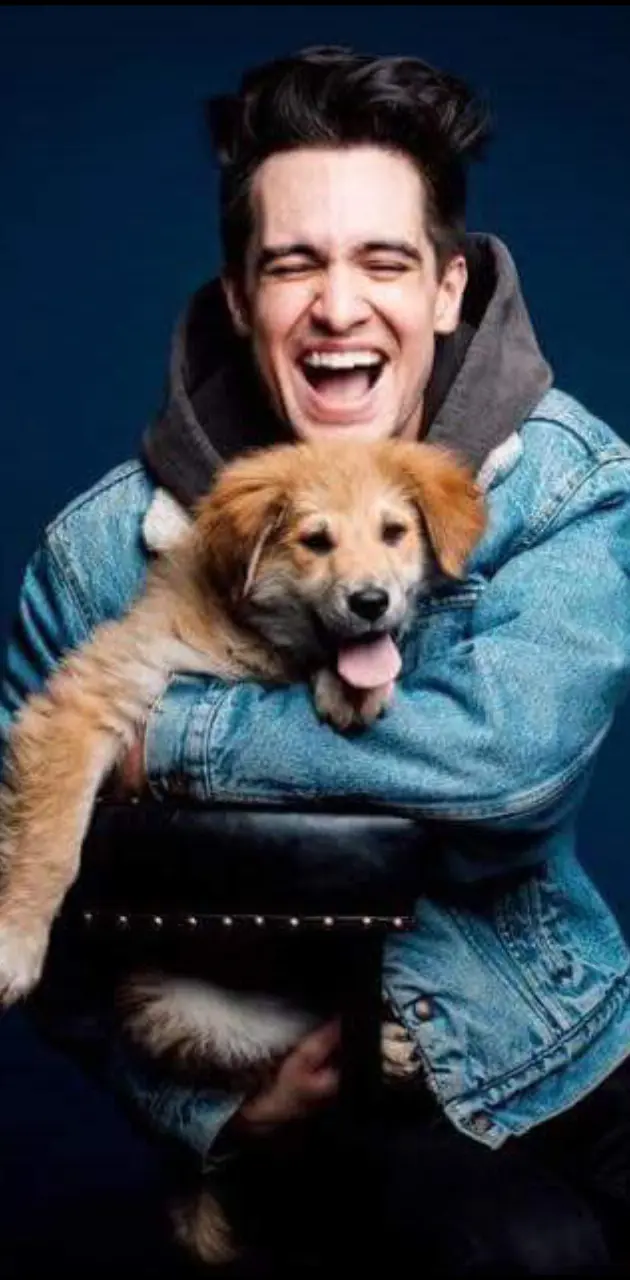 Brendon urie w dog