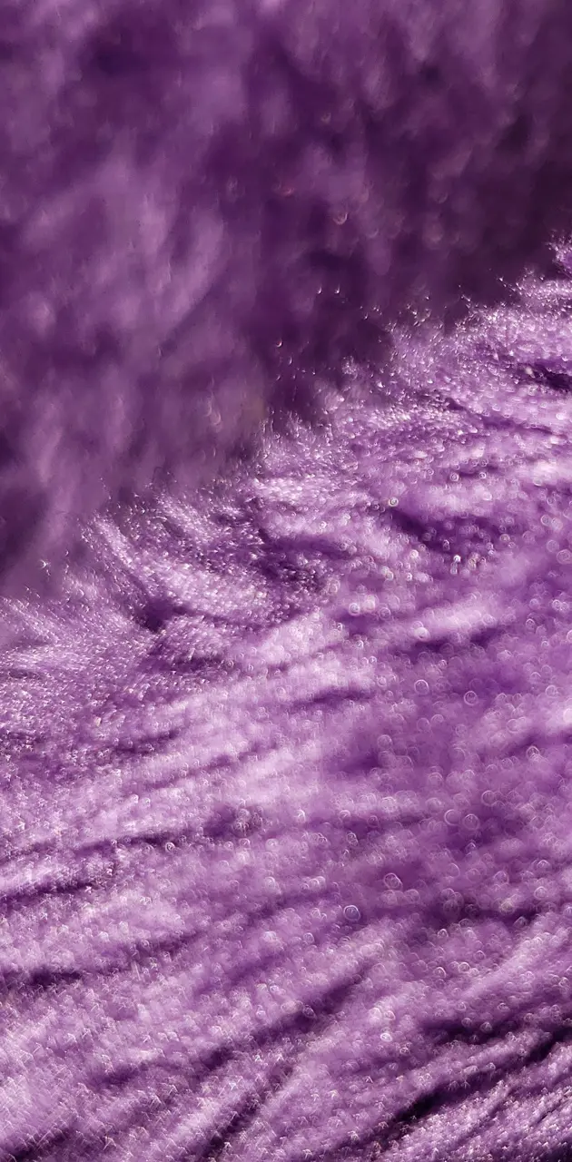 Purple Fuzzy