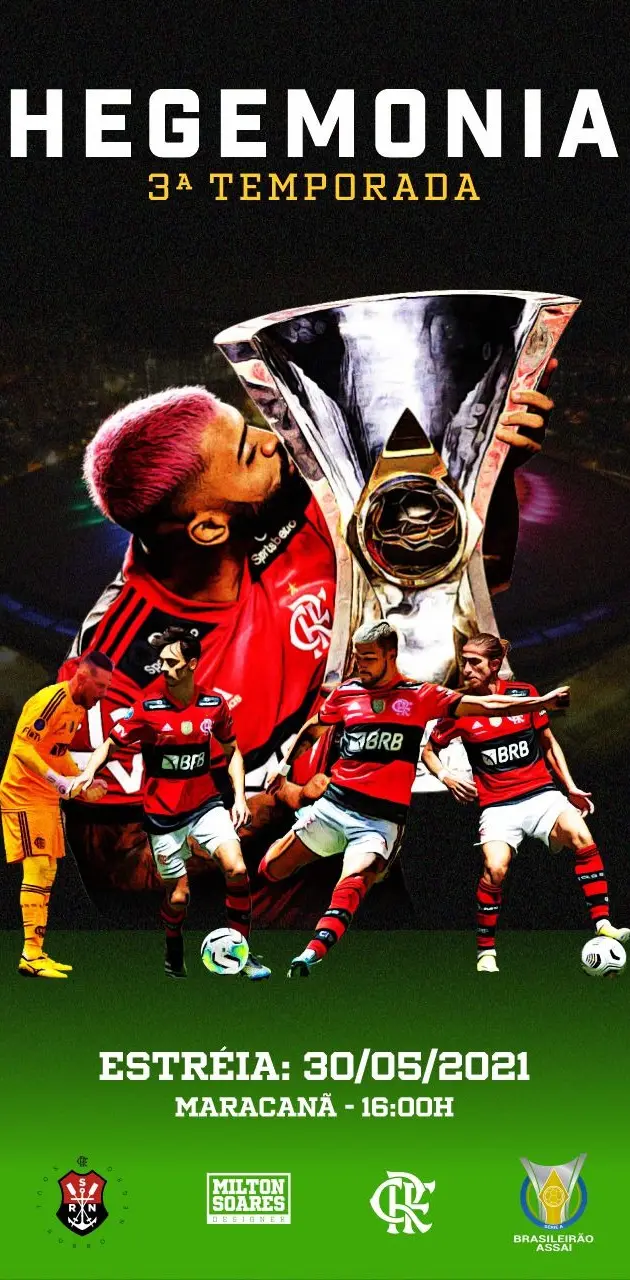Flamengo - Hegemonia