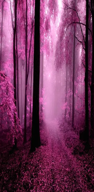 pink nature