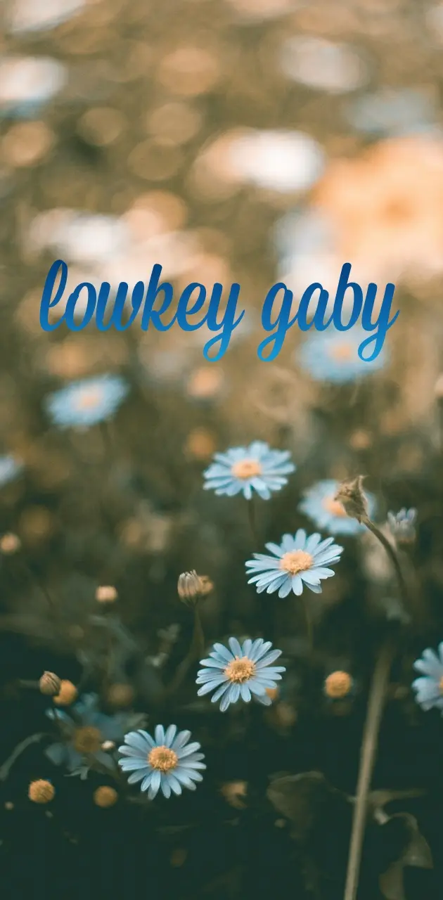Lowkey gaby