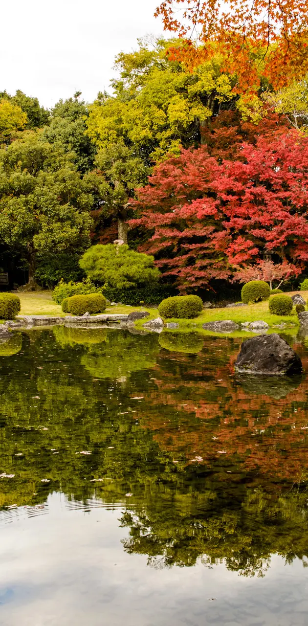Japan garden