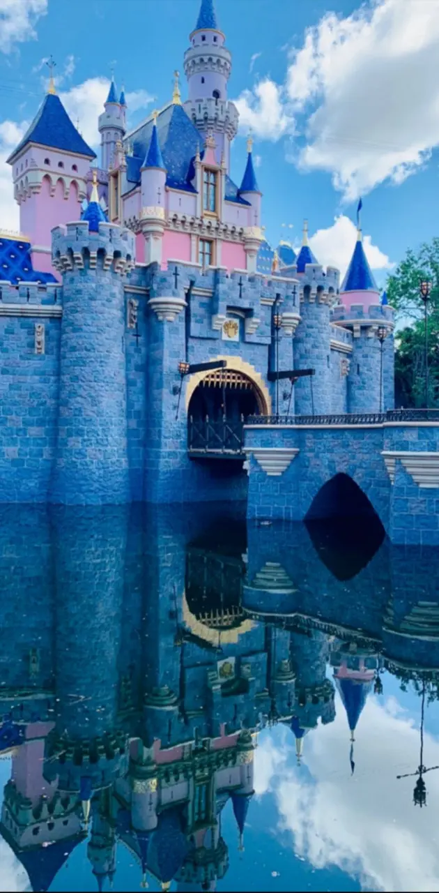 Disney castle 2019