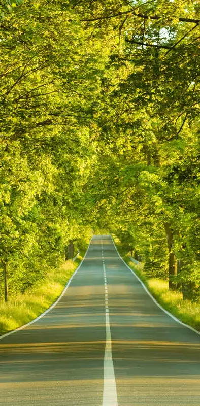 Beautiful Road