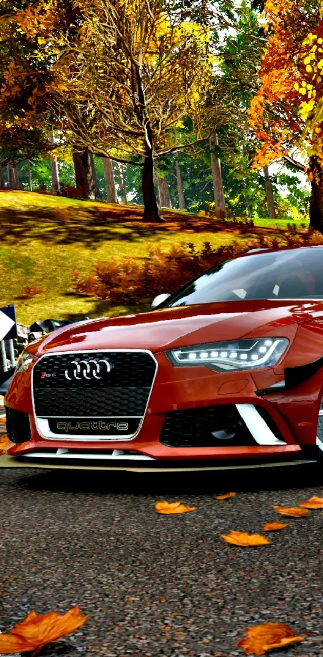 Audi rs