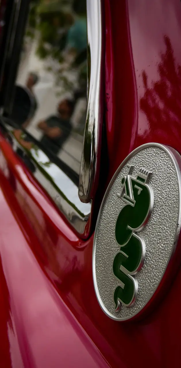 Alfa Romeo detail