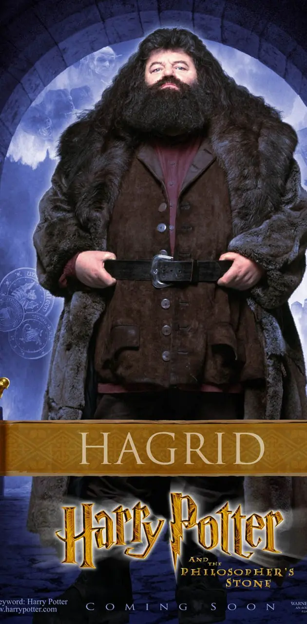 Harry Potter  Hagrid