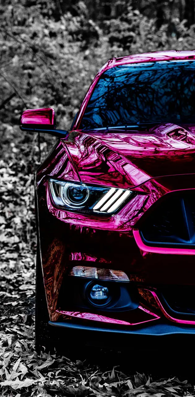 Mustang GT