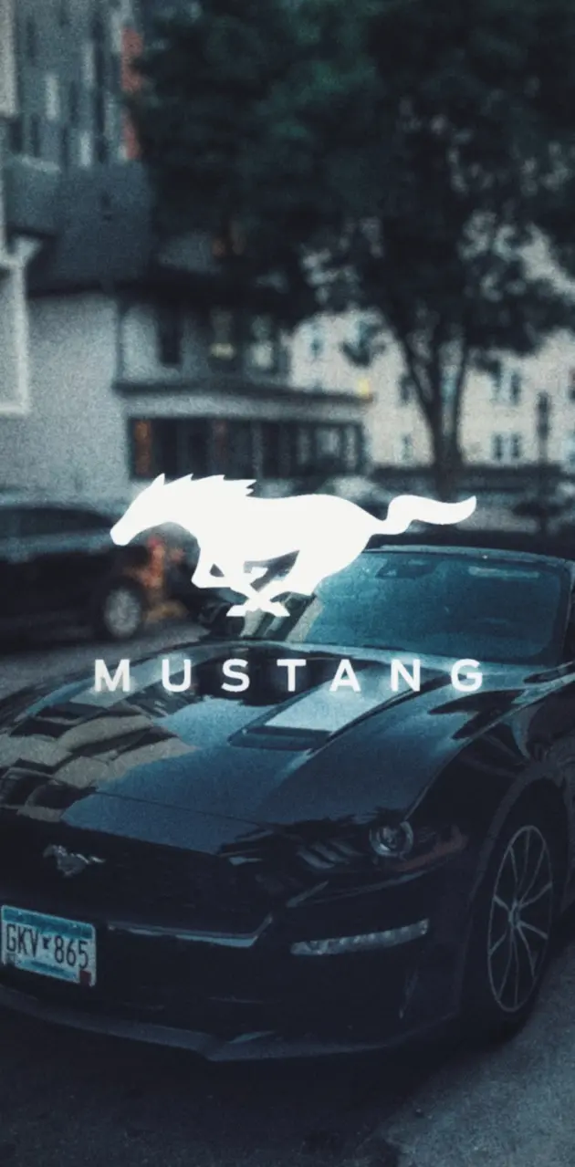 Mustang GT Black Car 