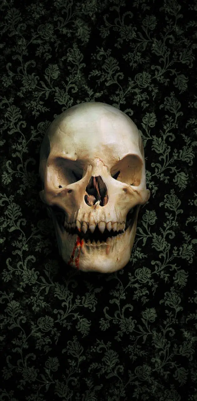 Skull Skeleton