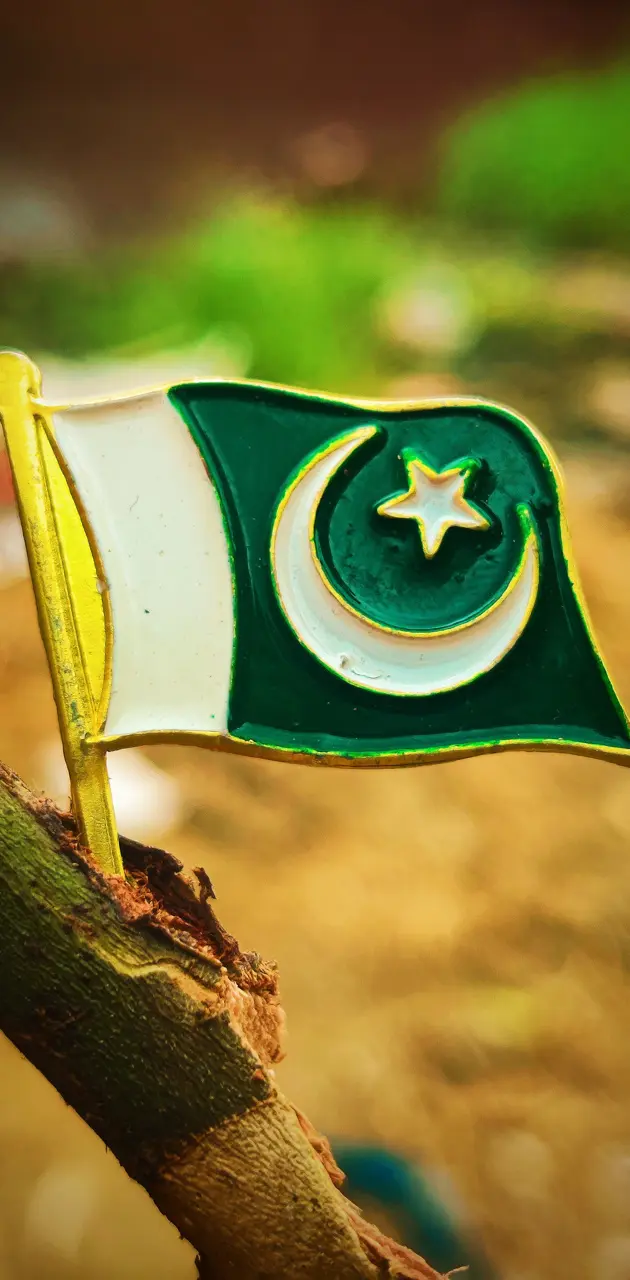 Pakistanflag UmairTaaj
