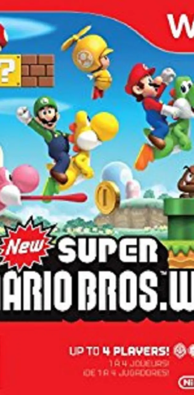 Mario Wii USA