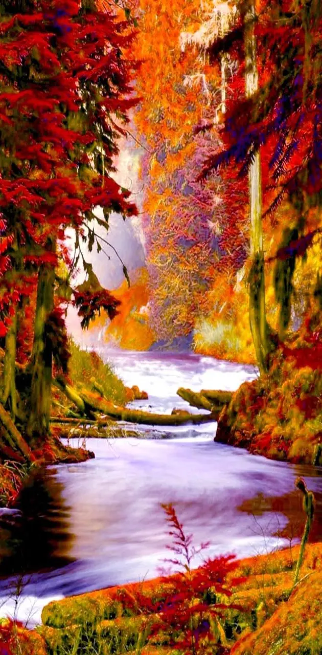 Colorful Autumn
