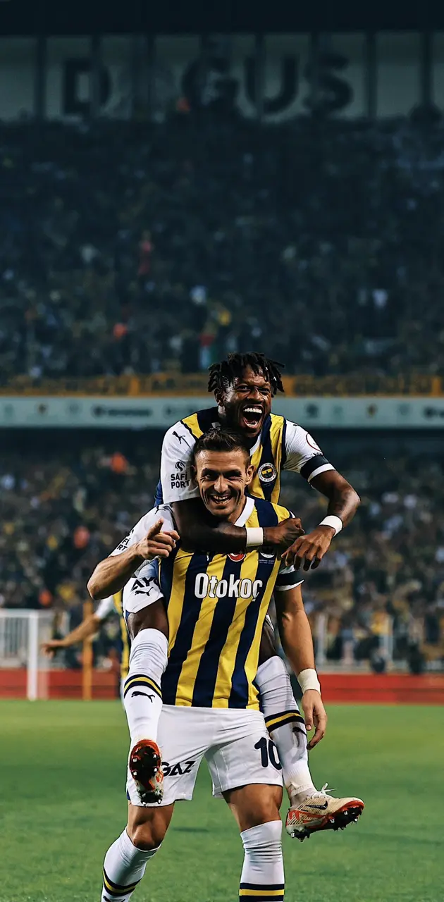 Fenerbahçe Wallpaper