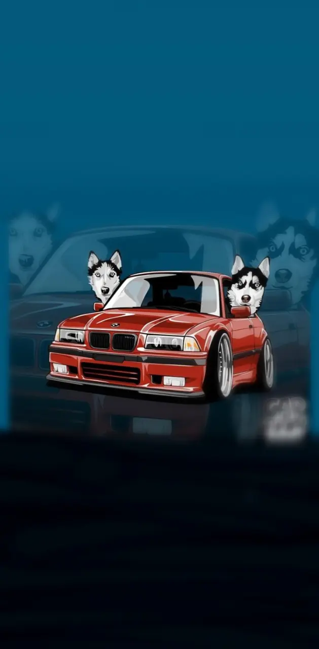 BMW dog