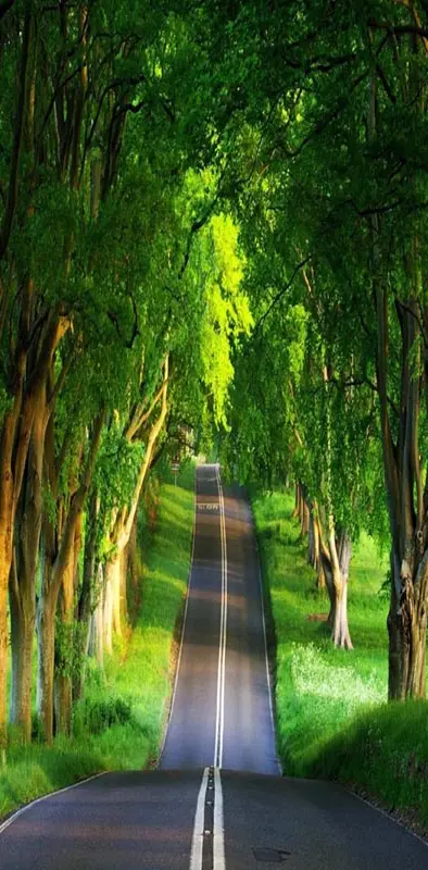 Green Road