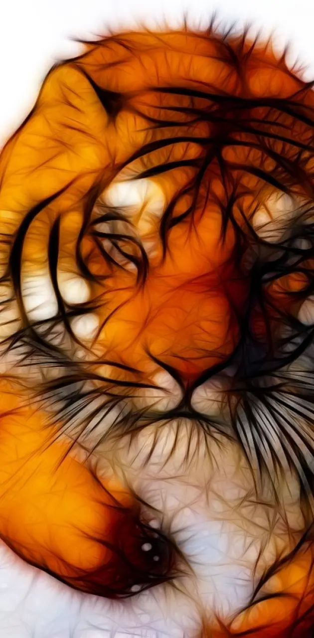 tiger abstract