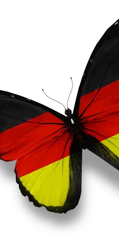 German Butterfly