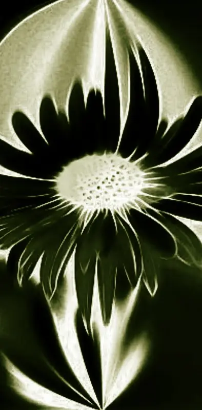 Abstract Flower
