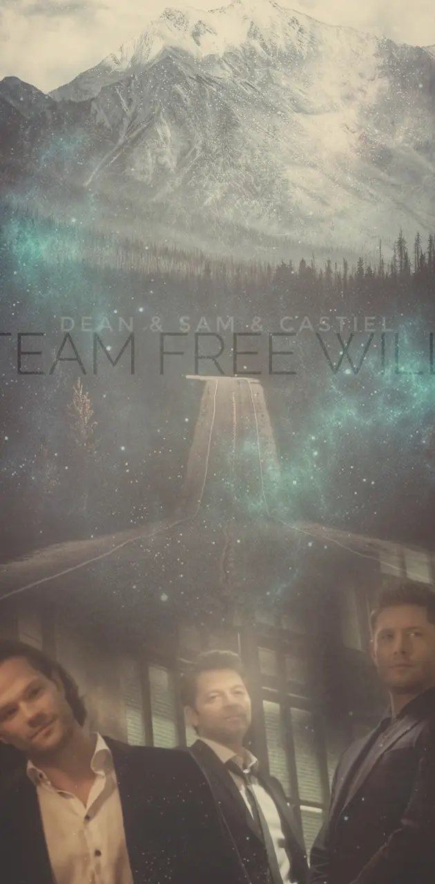 team free will wallpaper