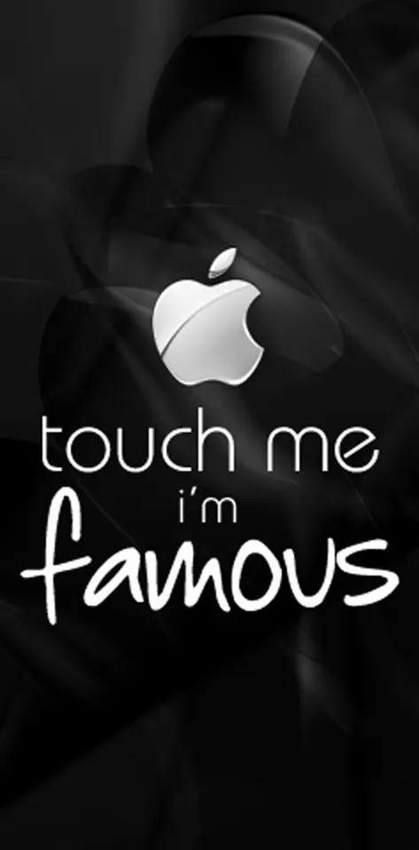touch me i am famous