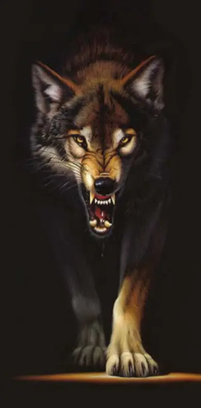 Wolf In The Dark